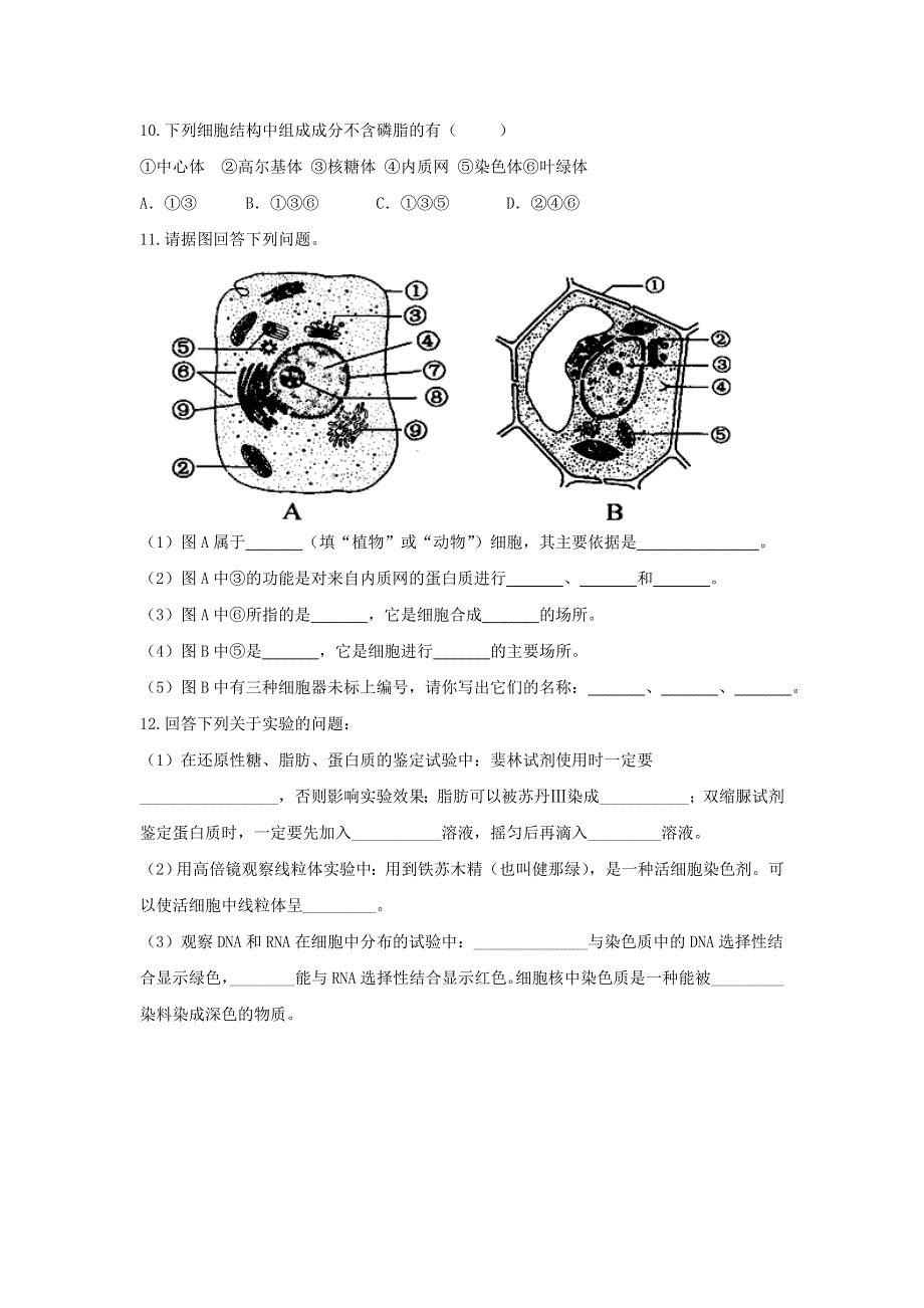 《优选整合》人教版高中生物必修1 第3章第2节细胞器—系统内的分工合作第1课时 练习（学生版） .doc_第3页