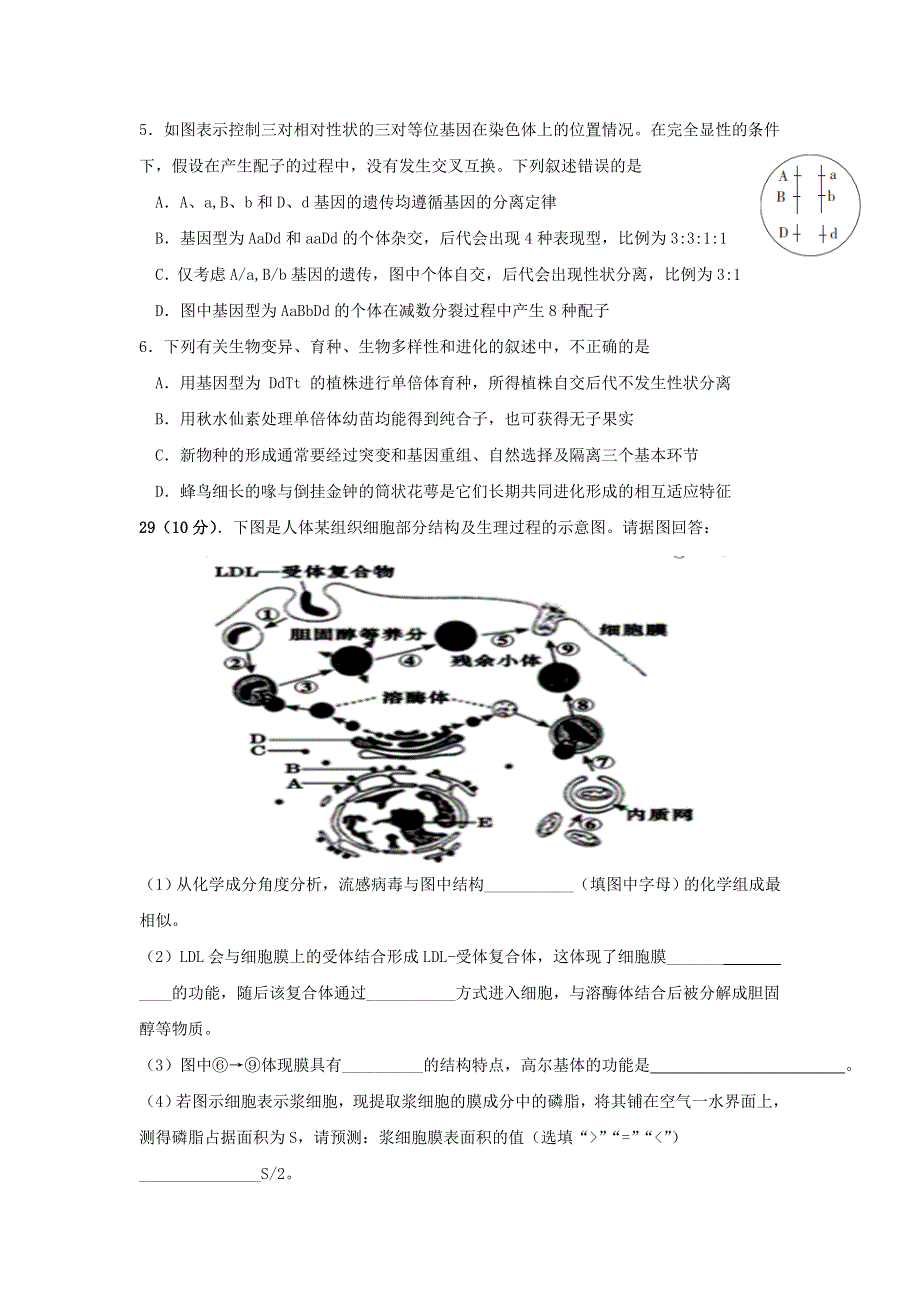 四川省攀枝花市第十五中学校2021届高三生物上学期第11次周考试题.doc_第2页