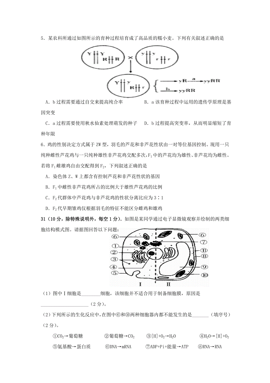 四川省攀枝花市第十五中学校2021届高三生物上学期第7次周考试题.doc_第2页