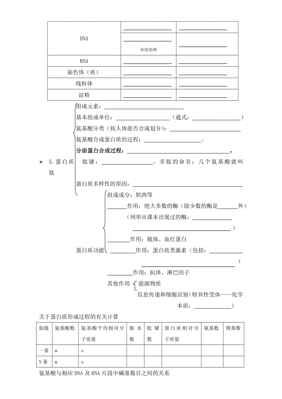 广东省东莞市麻涌中学高一生物人教版必修1复习学案 WORD版含答案.doc_第2页