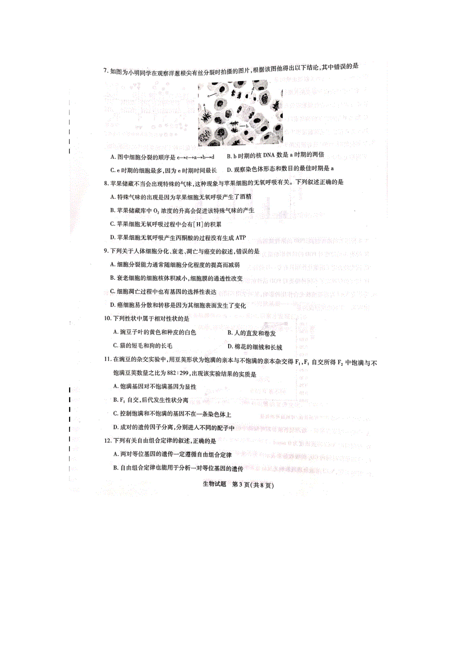 河南省焦作市普通高中2020-2021学年高一下学期期中考试生物试卷 扫描版含答案.pdf_第3页