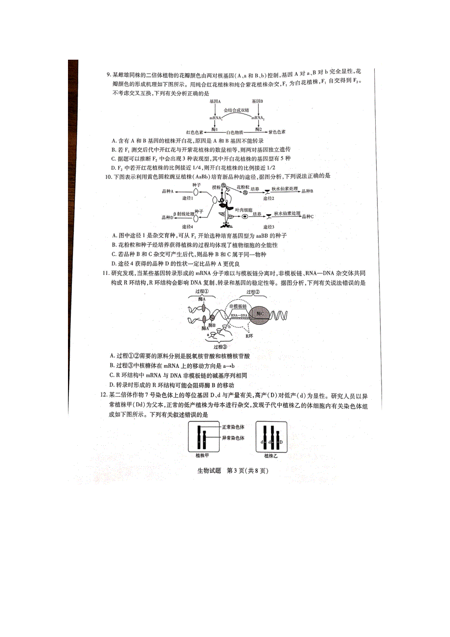 河南省焦作市普通高中2020-2021学年高二下学期期中考试生物试题 扫描版含答案.pdf_第3页