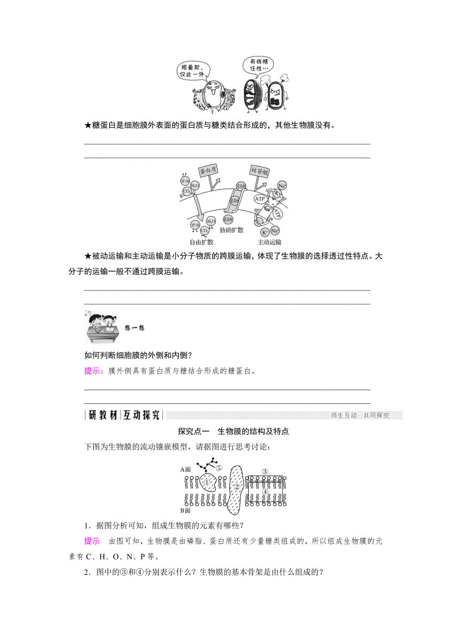 2018版高中生物人教版必修一学案：4-2-4-3 生物膜的流动镶嵌模型 物质跨膜运输的方式 WORD版含答案.doc_第3页