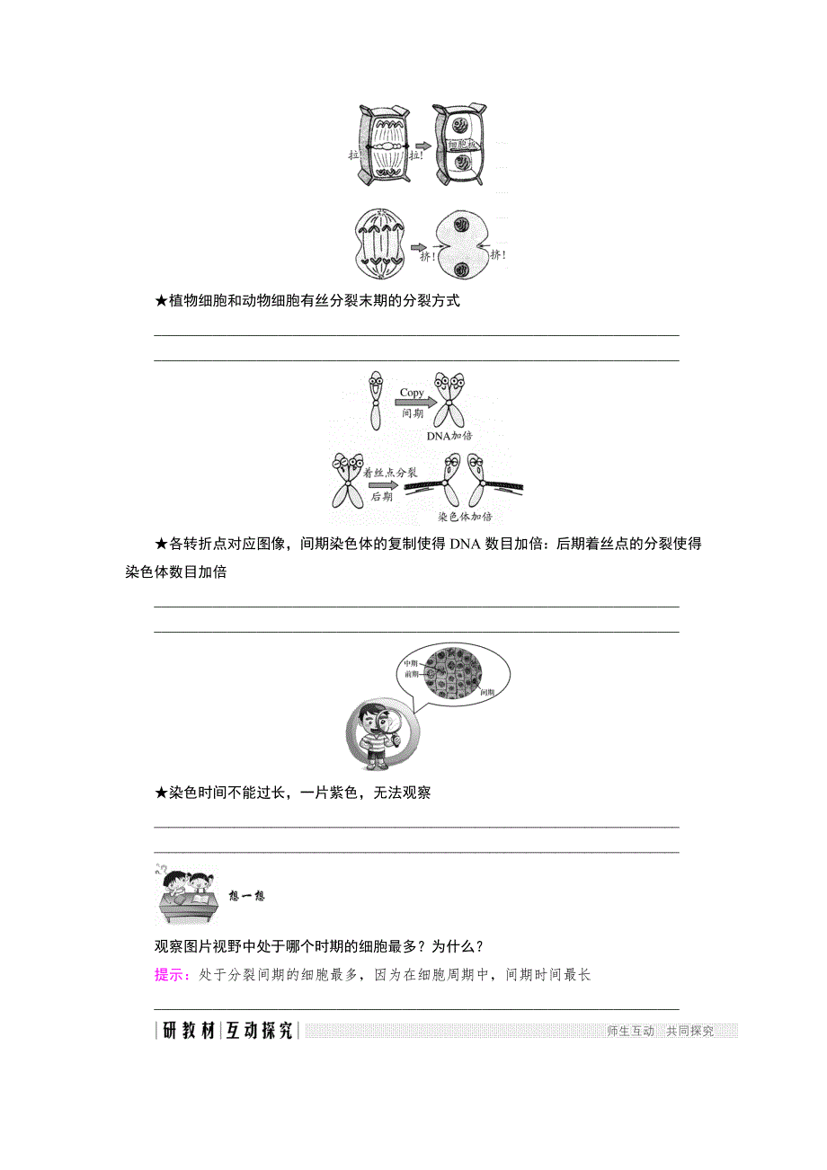 2018版高中生物人教版必修一学案：6-1-2 动植物细胞有丝分裂的区别和相关曲线 WORD版含答案.doc_第3页