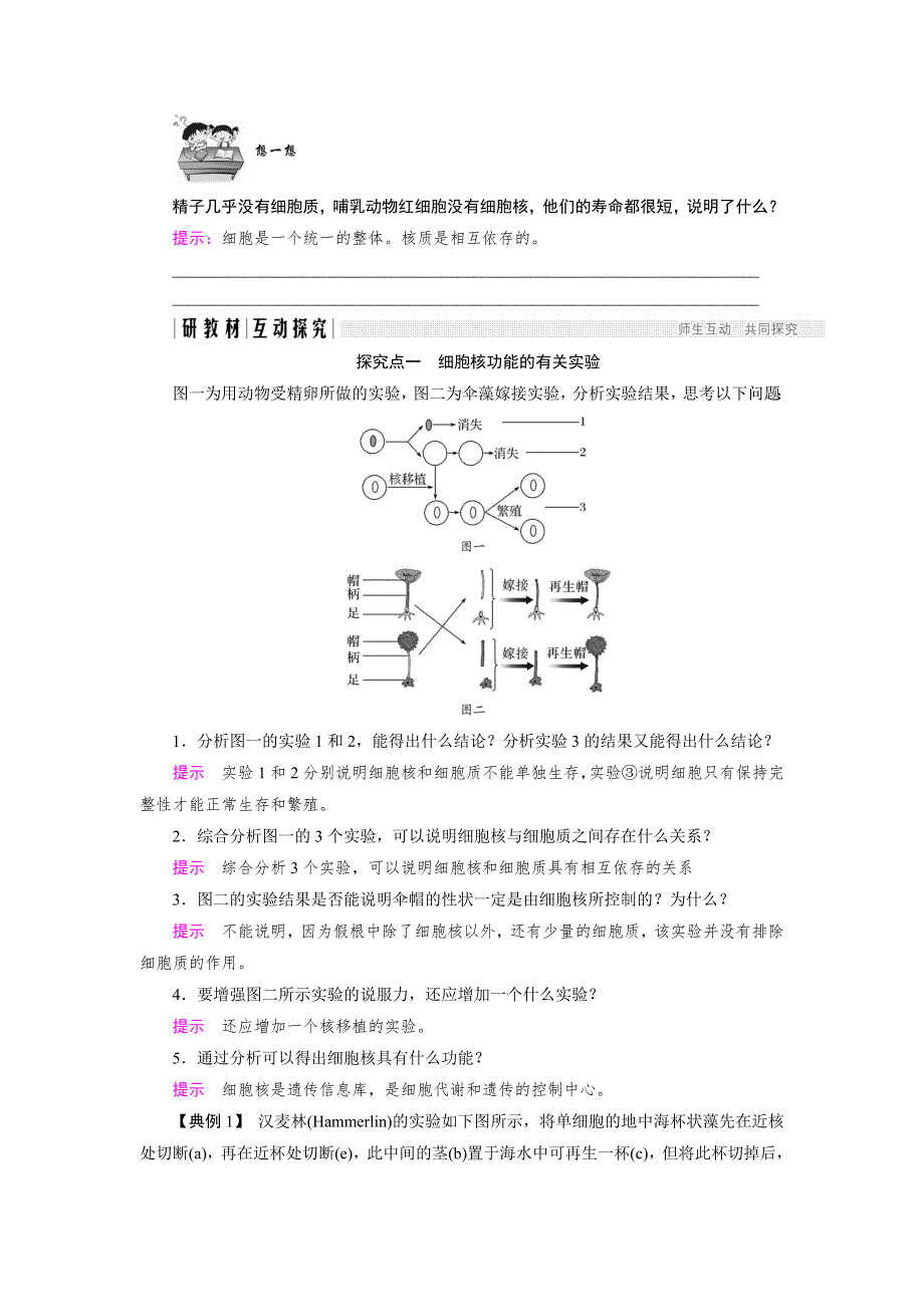 2018版高中生物人教版必修一学案：3-3 细胞核——系统的控制中心 WORD版含答案.doc_第3页