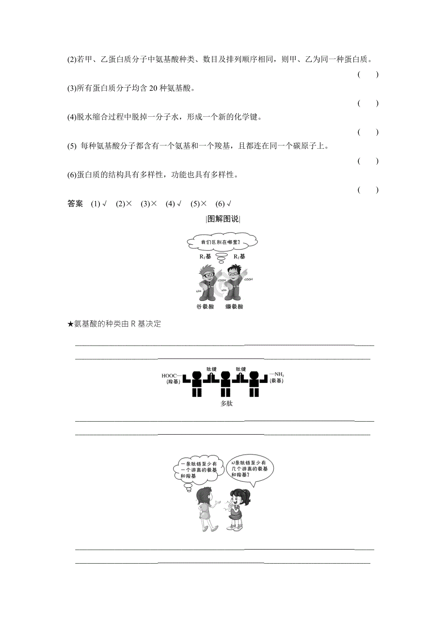 2018版高中生物苏教版必修1学案：2-2-2 蛋白质的结构和功能 .doc_第3页