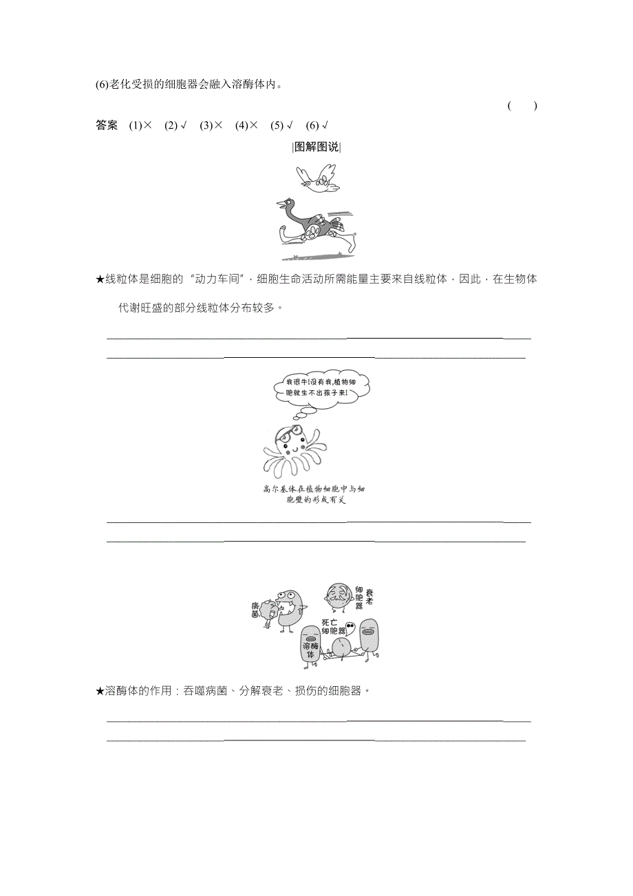 2018版高中生物苏教版必修1学案：3-2-2 细胞质和细胞器 .doc_第3页