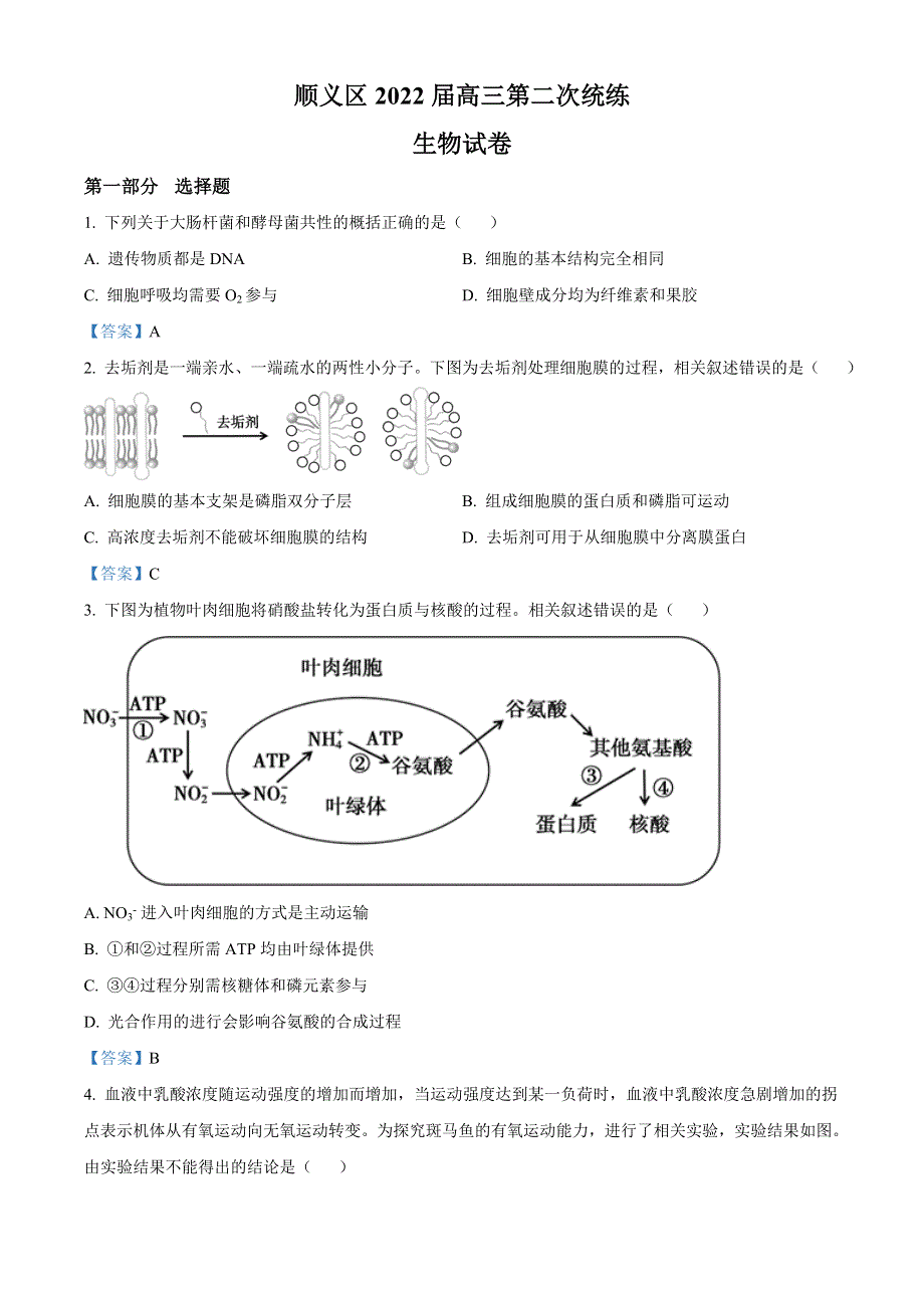 2022届北京市顺义区高三二模 生物试题 WORD版含答案.doc_第1页