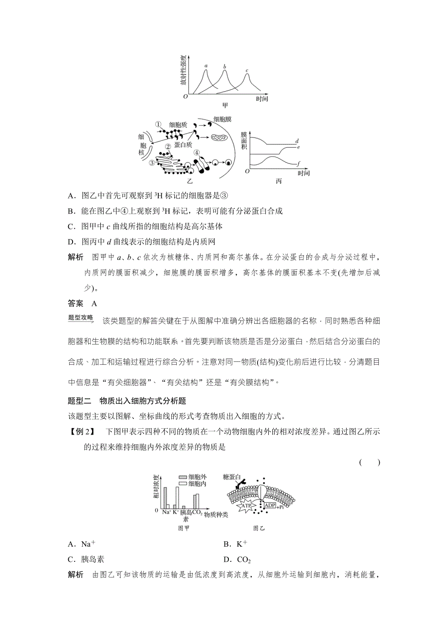 2018版高中生物苏教版必修1学案：第三章 章末培优攻略 .doc_第3页