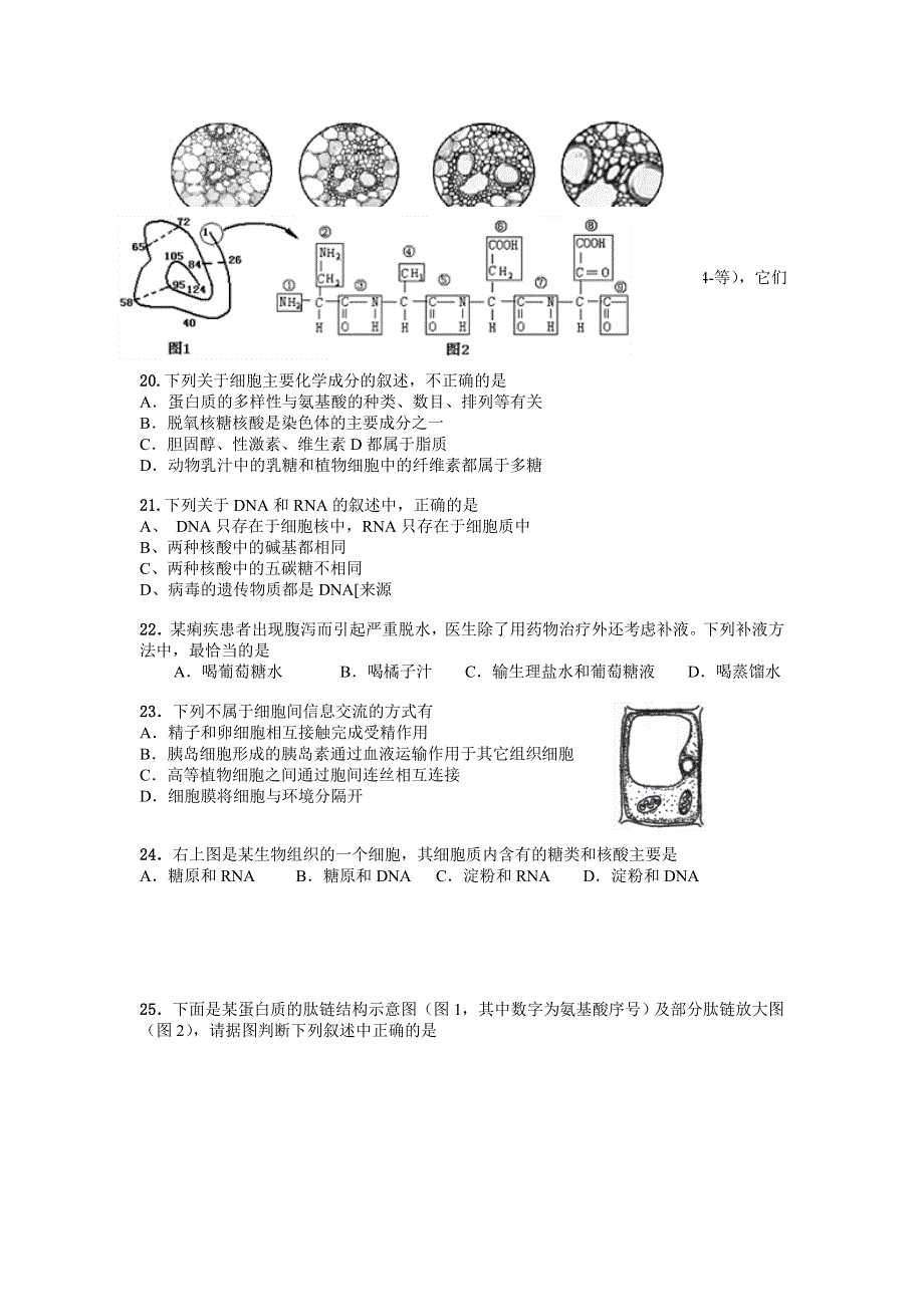 广东省中大附中2012-2013学年高一上学期期中生物试题.doc_第3页