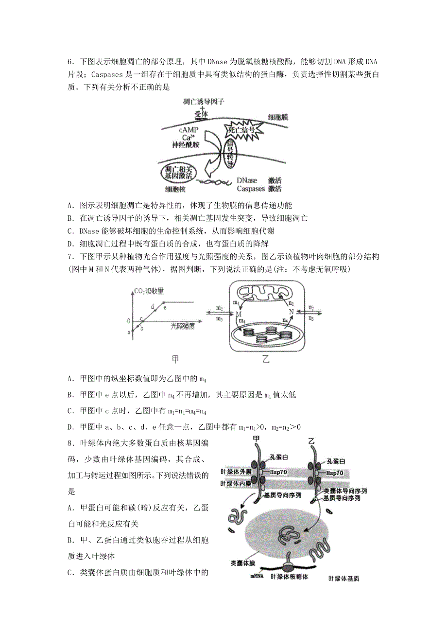 山东省寿光市圣都中学2021届高三生物上学期第二次阶段测试试题.doc_第2页