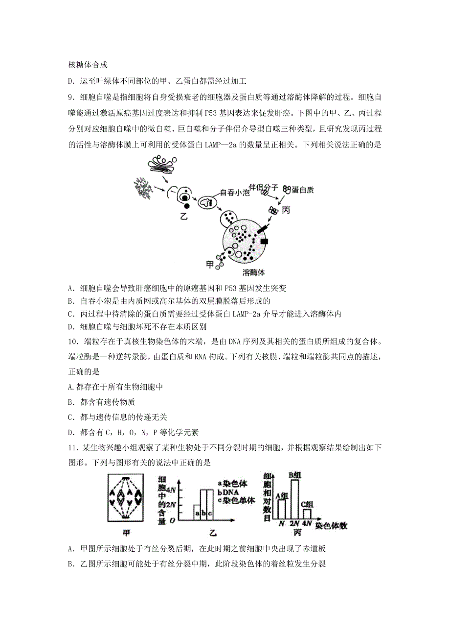 山东省寿光市圣都中学2021届高三生物上学期第二次阶段测试试题.doc_第3页