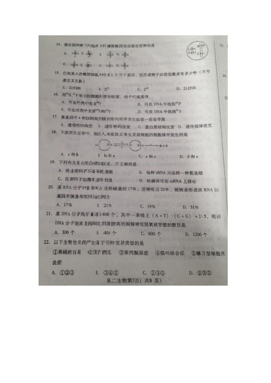 山东省寿光现代中学2015-2016学年高二12月月考生物试题 扫描版含答案.doc_第3页