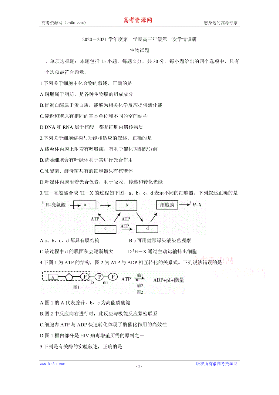 《发布》江苏省徐州市沛县2021届高三上学期第一次学情调研试题 生物 WORD版含答案BYCHUN.doc_第1页