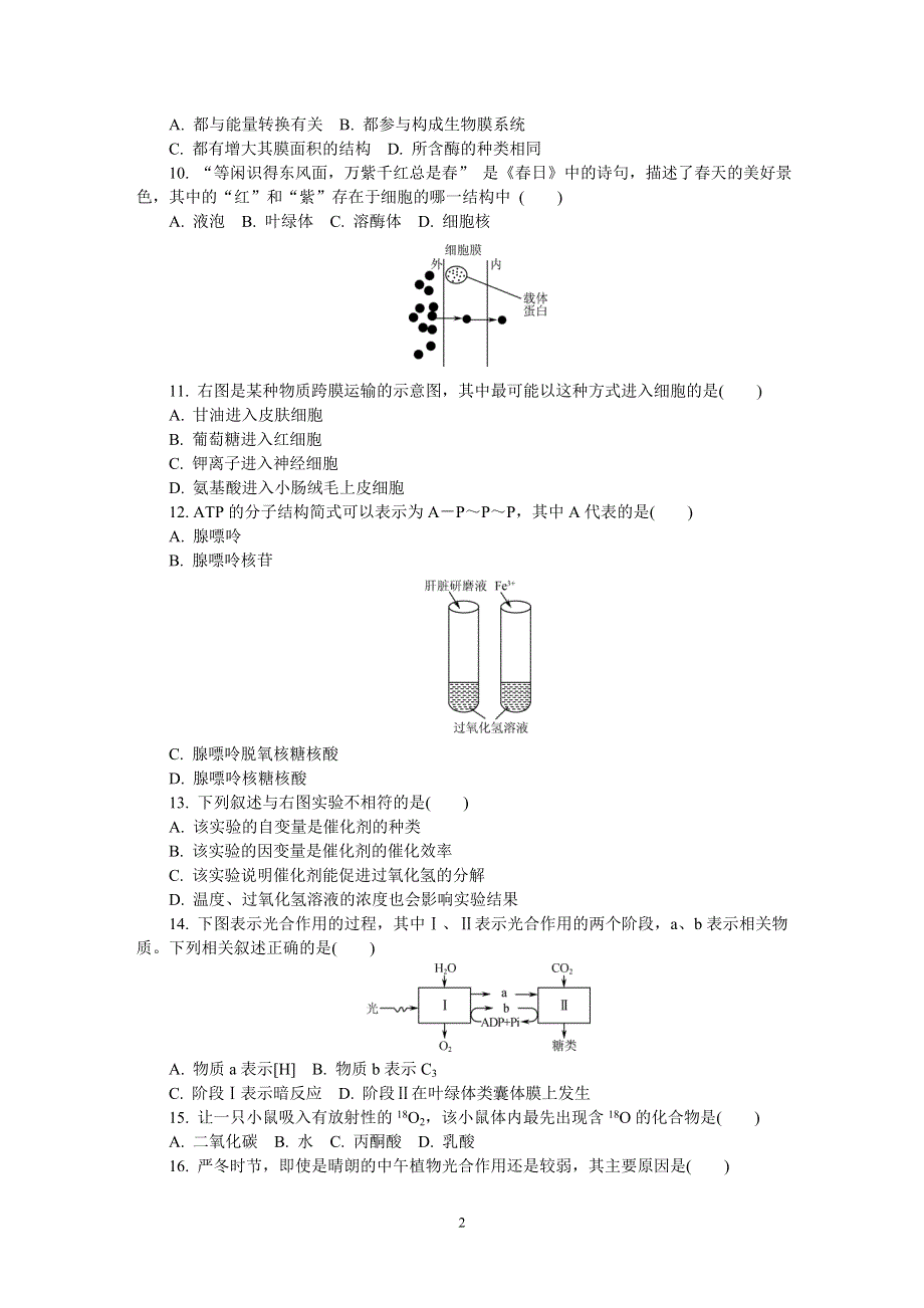 《发布》江苏省扬州市2020-2021学年高二学业水平合格性考试模拟试卷（四）（1月） 生物 WORD版含答案.DOC_第2页