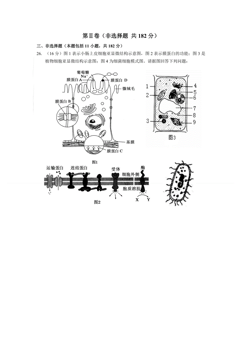 广东省中山一中等六校2013届高三第一次（11月）联考生物试题 WORD版含答案.doc_第3页