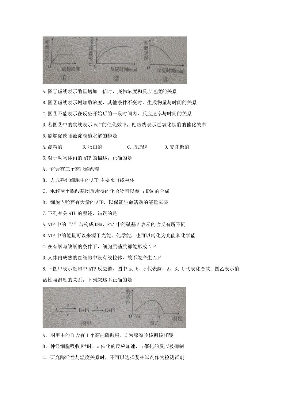 山东省寿光现代中学2016-2017学年高一（实验部）上学期12月月考生物试题 WORD版含答案.doc_第2页