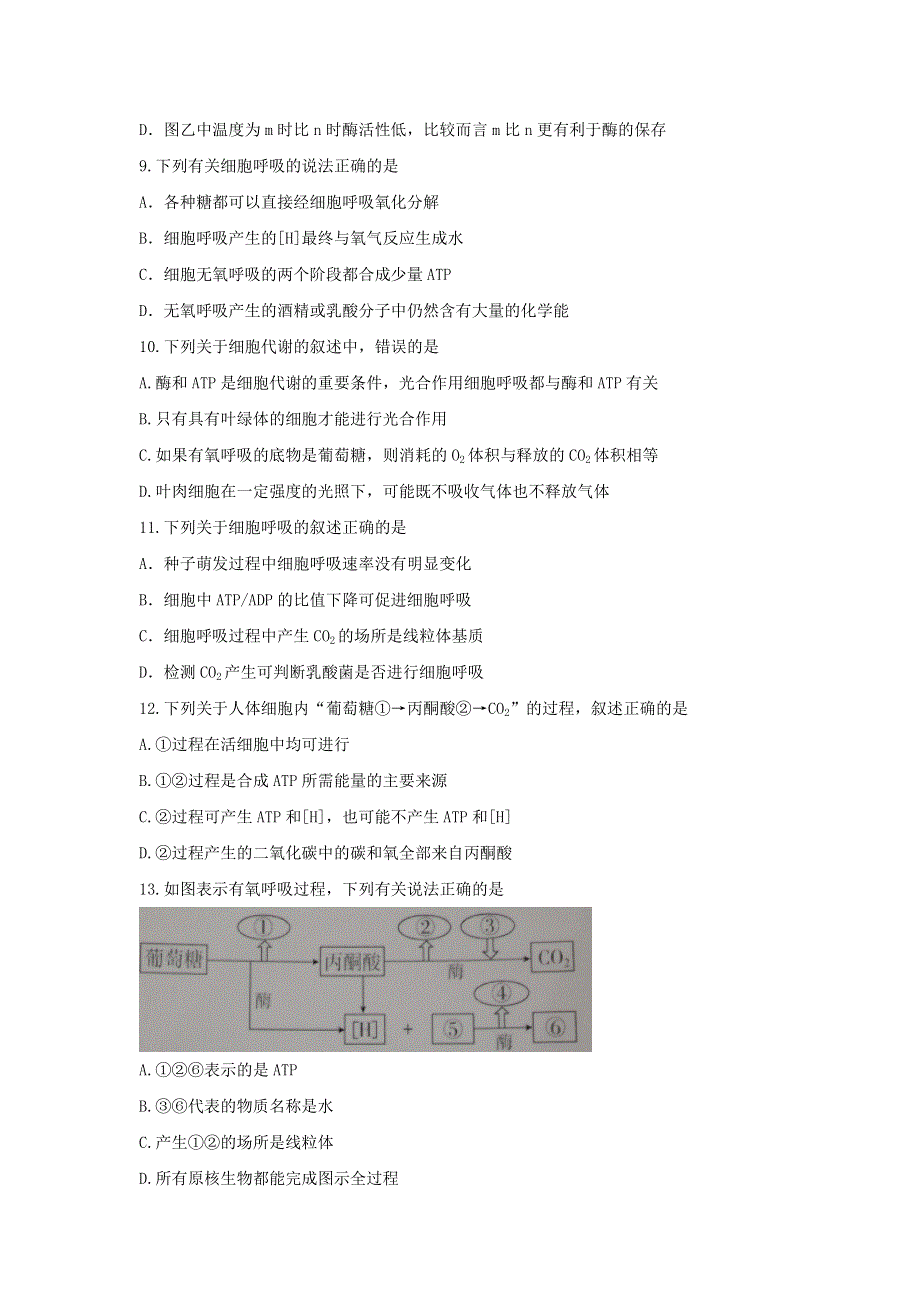 山东省寿光现代中学2016-2017学年高一（实验部）上学期12月月考生物试题 WORD版含答案.doc_第3页