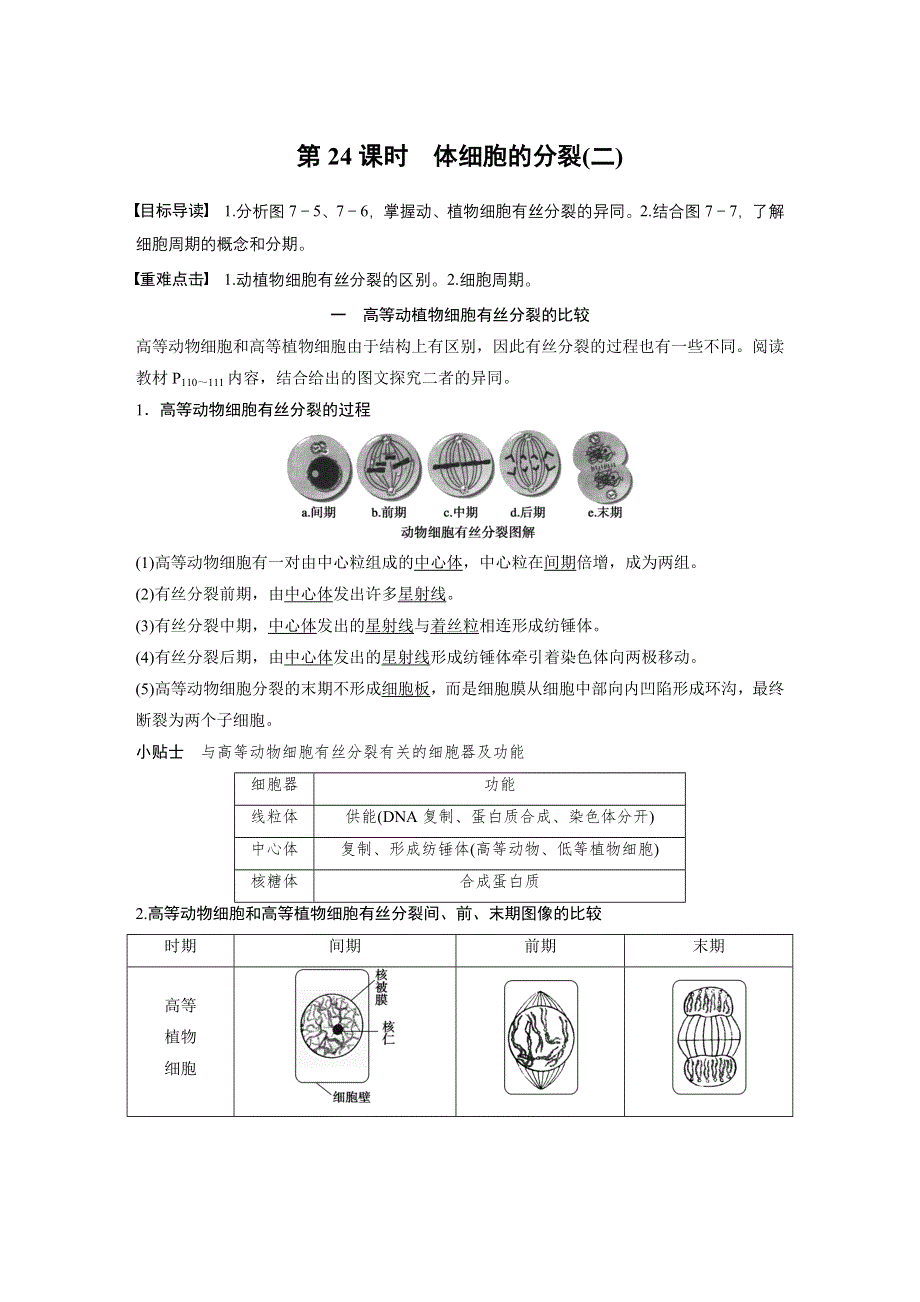 《新步步高》2016生物北师大版必修1习题：第7章 第24课时 体细胞的分裂（二） WORD版含解析.docx_第1页