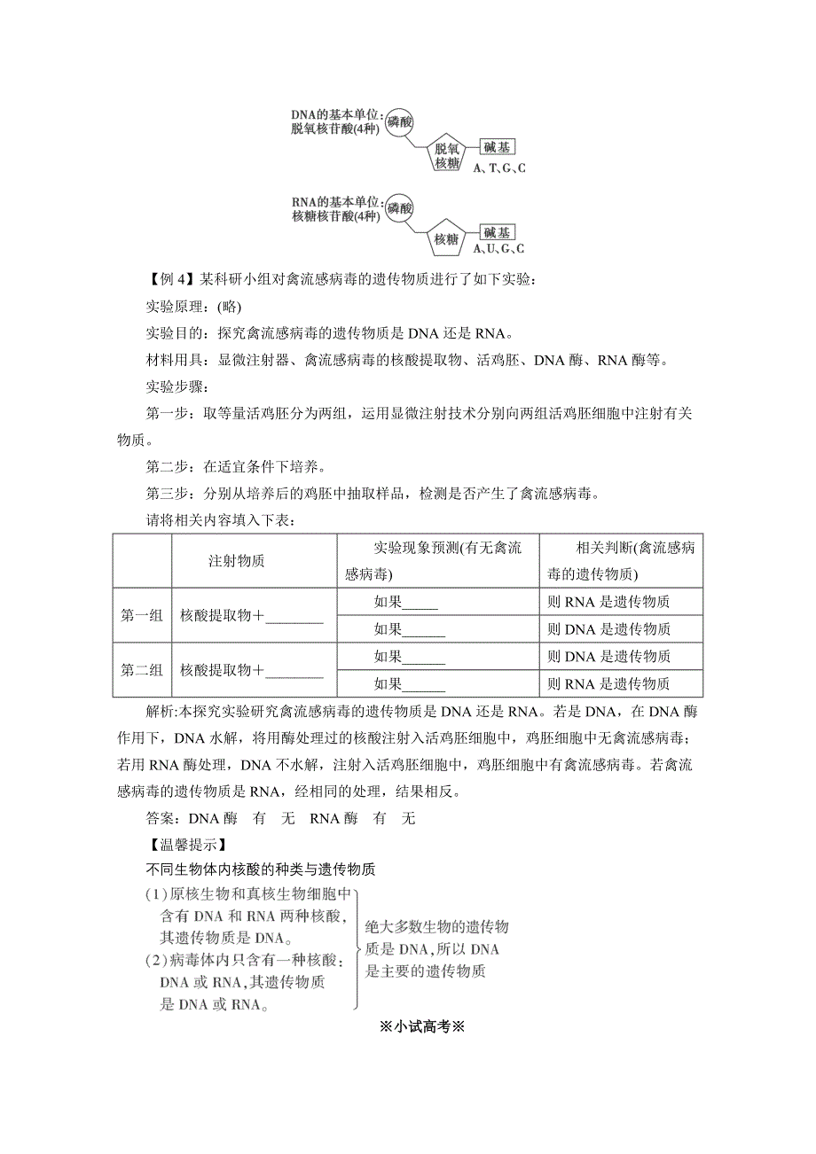 2013年高一生物必修一 2.3《传信息的携带者——核酸》同步练习（人教版）.doc_第2页