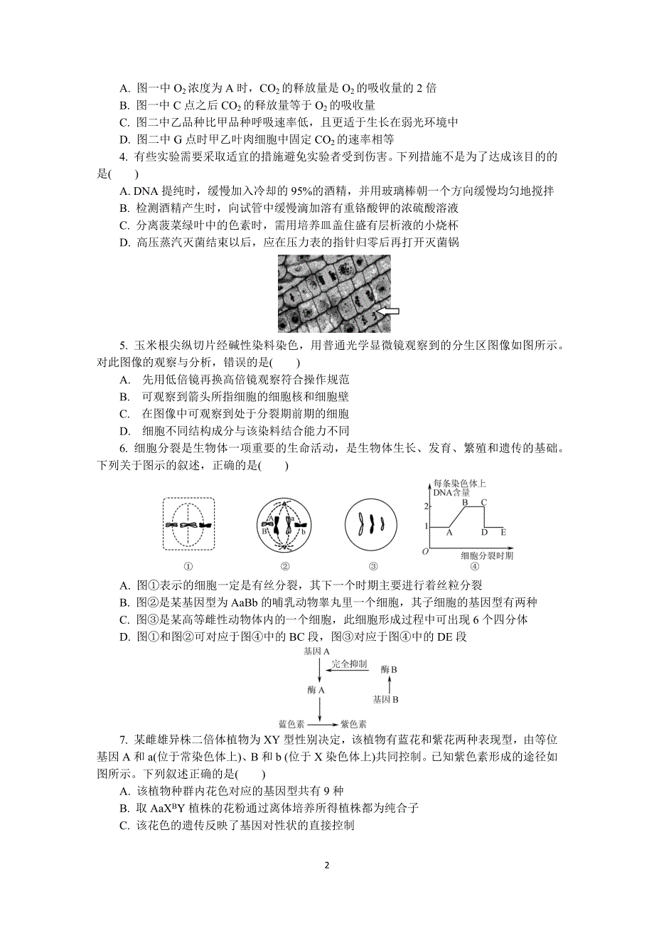 《发布》江苏省扬州市2020届高三第二次模拟考试（5月） 生物 WORD版含答案.DOCX_第2页