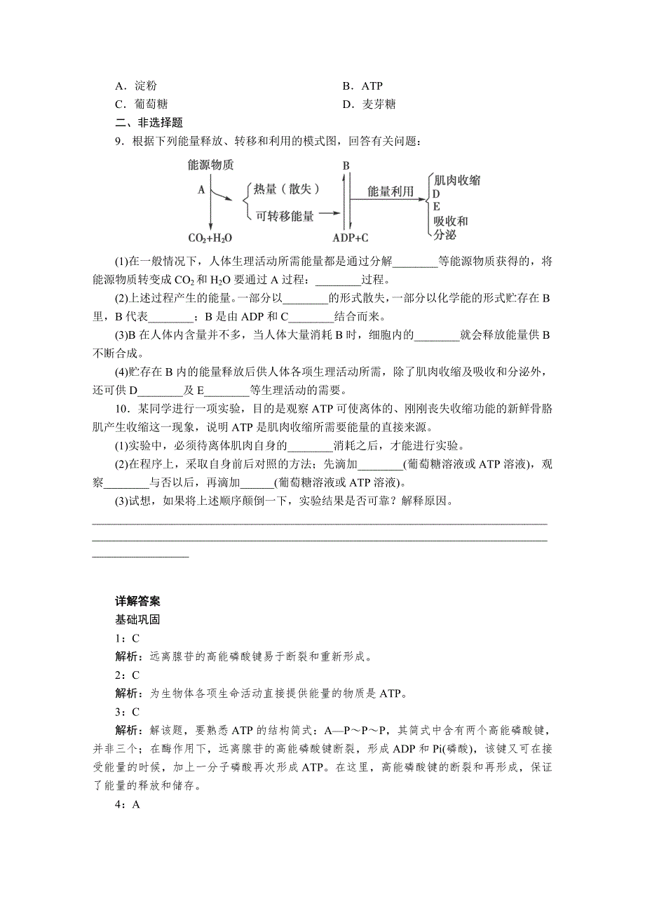 2013年高一生物必修一 5.2《细胞的能量通货—ATP》同步练习（人教版）.doc_第3页