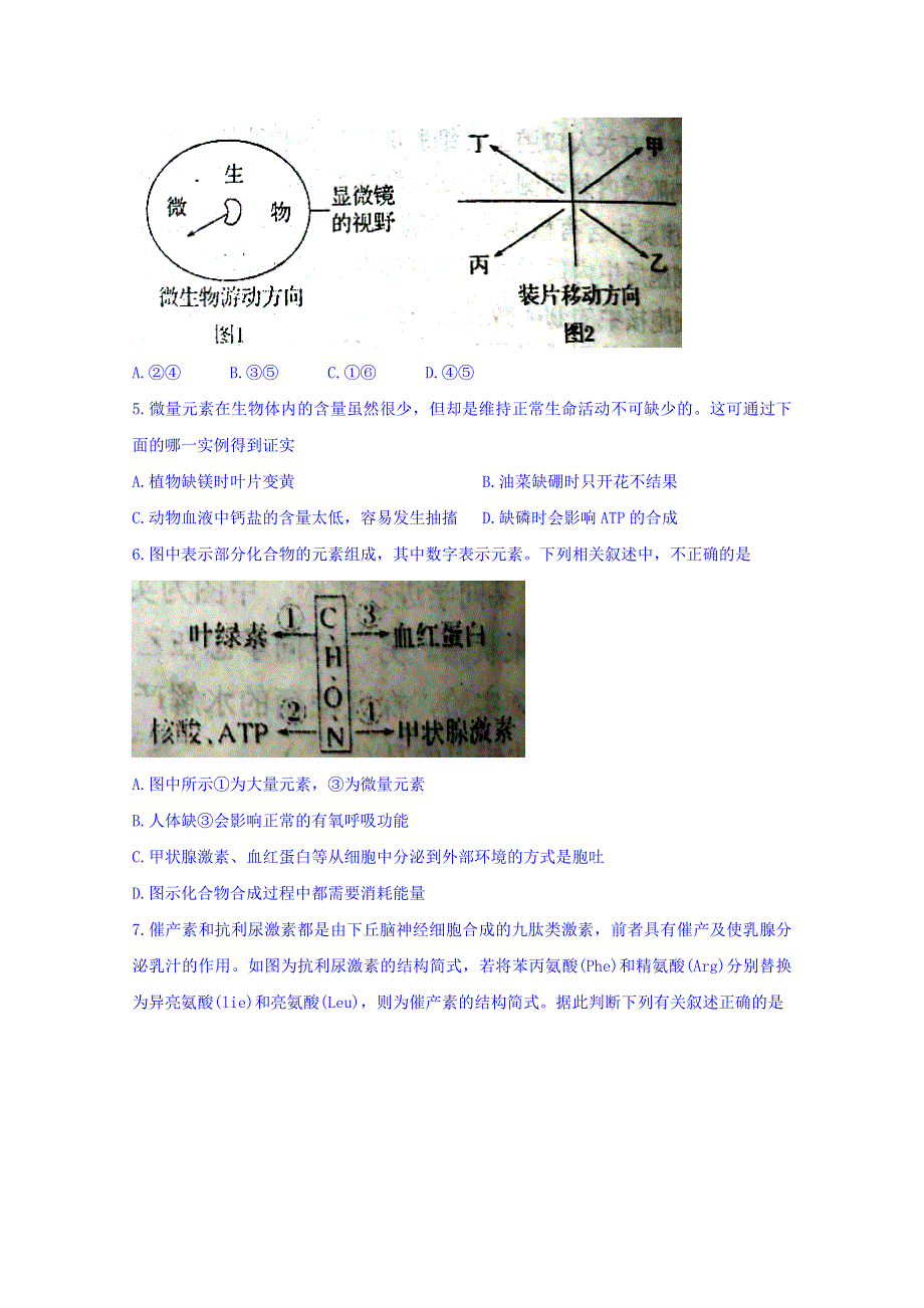 山东省寿光现代中学2017-2018学年高二6月月考生物试题 WORD版含答案.doc_第2页