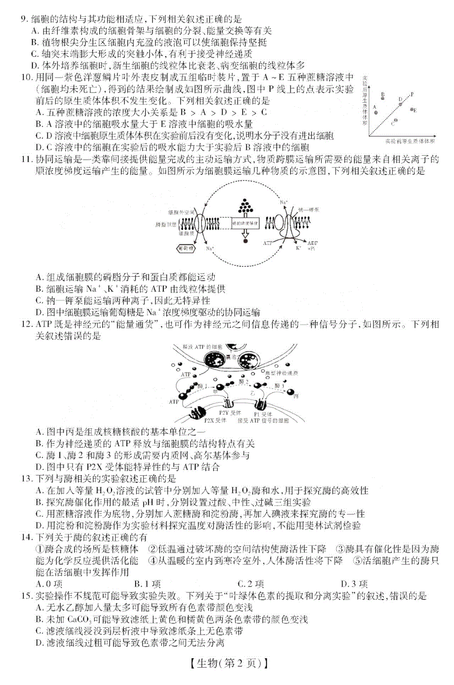 安徽省涡阳县育萃高级中学2021届高三上学期10月月考生物试卷 PDF版含答案.pdf_第2页