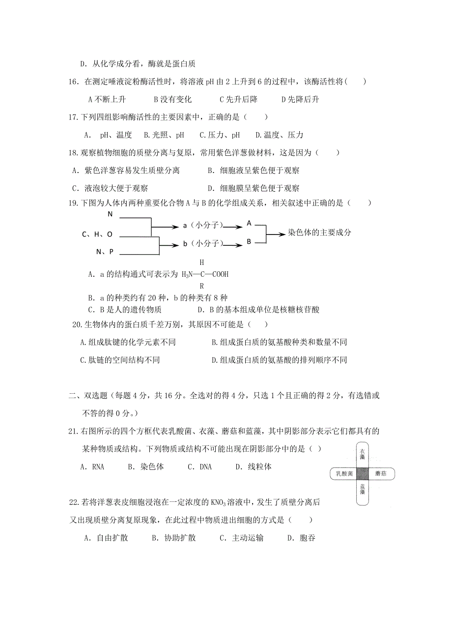 广东省东莞市常平中学2015-2016学年高一12月月考生物试题 WORD版含答案.doc_第3页