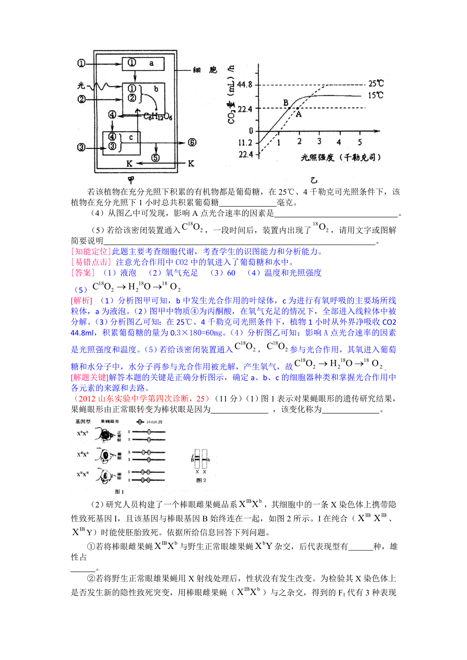 山东省实验中学2012届高三第四次诊断考试理科生物试题（全解析）.doc_第3页