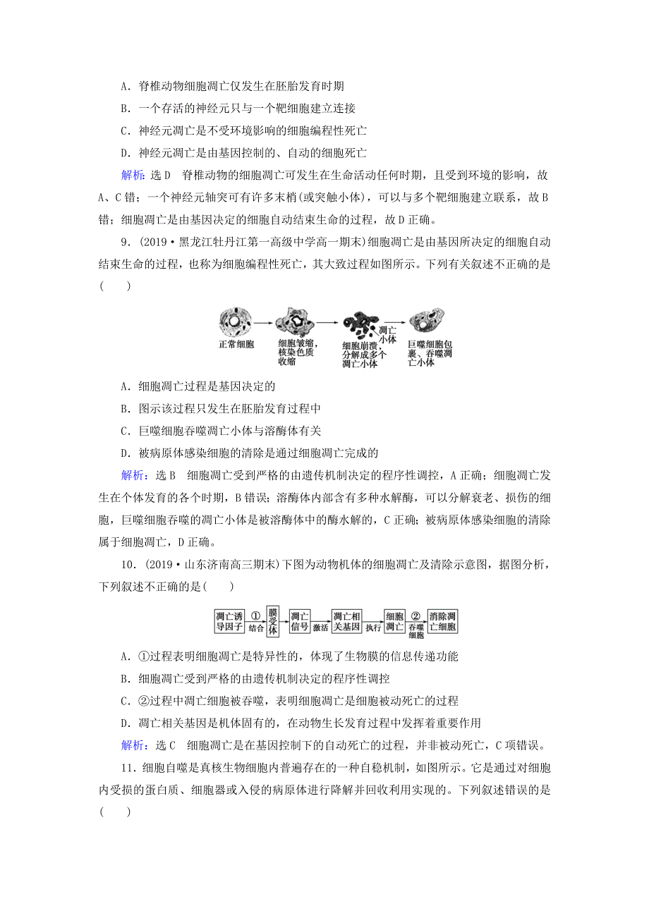 2020年高中生物 第六章 细胞的生命历程 第3节 细胞的衰老和凋亡课时跟踪练（含解析）新人教版必修1.doc_第3页