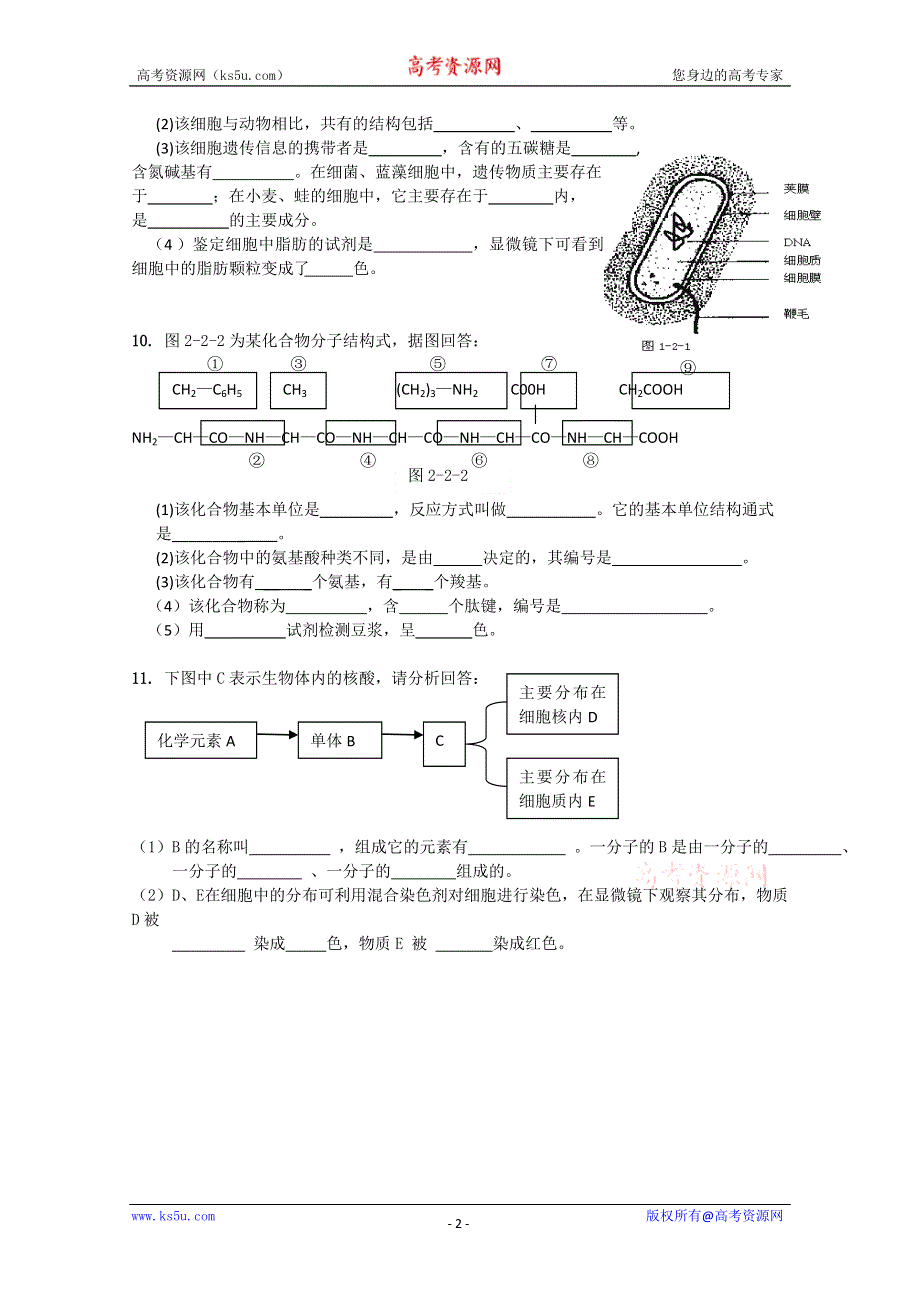 广东省东莞市第七高级中学2011-2012学年上学期高一第一次月考试题（生物）.doc_第2页