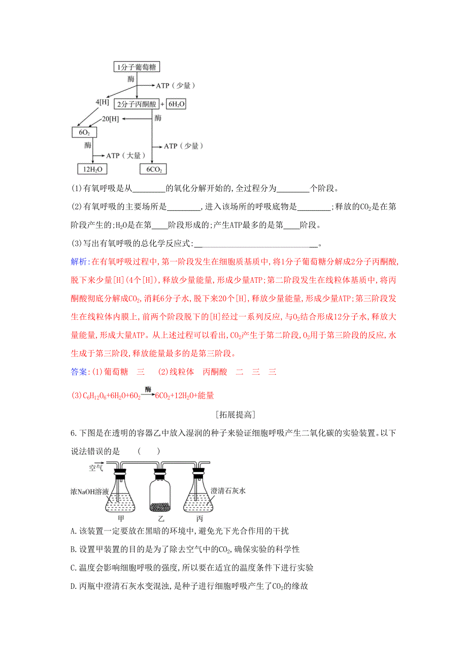 2021年新教材高中生物 第5章 细胞的能量供应和利用 第3节 细胞呼吸的原理和应用 第1课时 探究酵母菌细胞呼吸的方式及有氧呼吸作业（含解析）新人教版必修1.docx_第2页