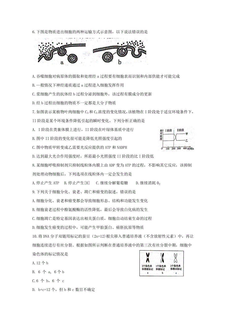 《发布》湖南省岳阳市2019届高三教学质量检测一（一模）生物 WORD版含答案BYFENG.doc_第2页