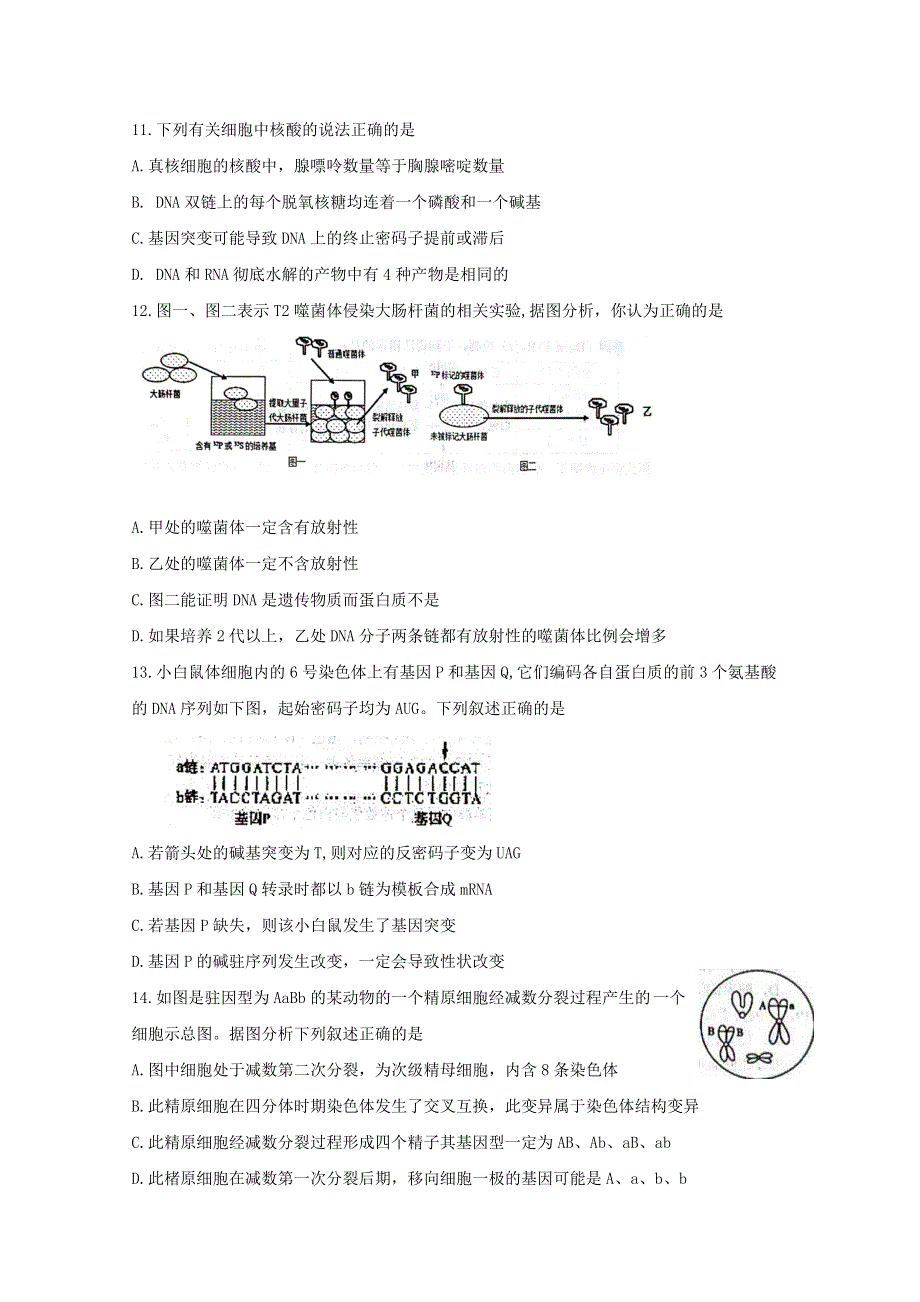 《发布》湖南省岳阳市2019届高三教学质量检测一（一模）生物 WORD版含答案BYFENG.doc_第3页