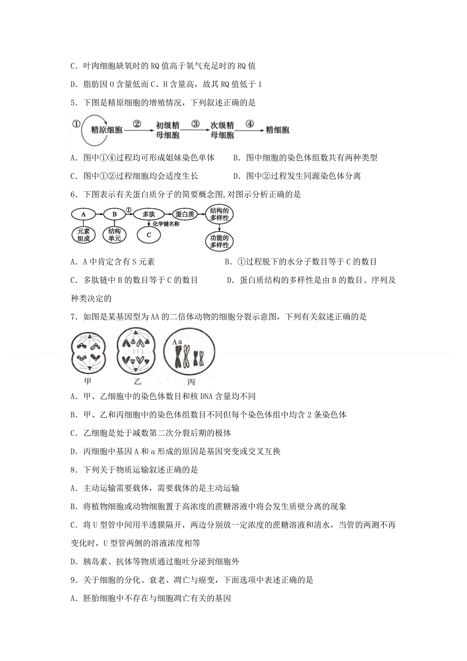 四川省泸县第五中学2019-2020学年高一生物下学期期中试题.doc_第2页