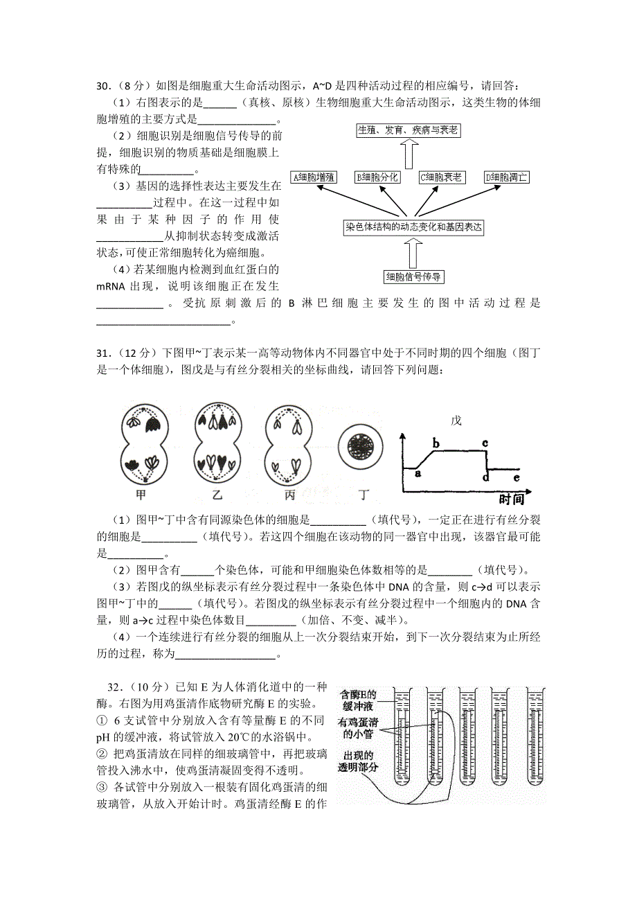 广西南宁三中2012届高三第四次月考生物试题.doc_第2页