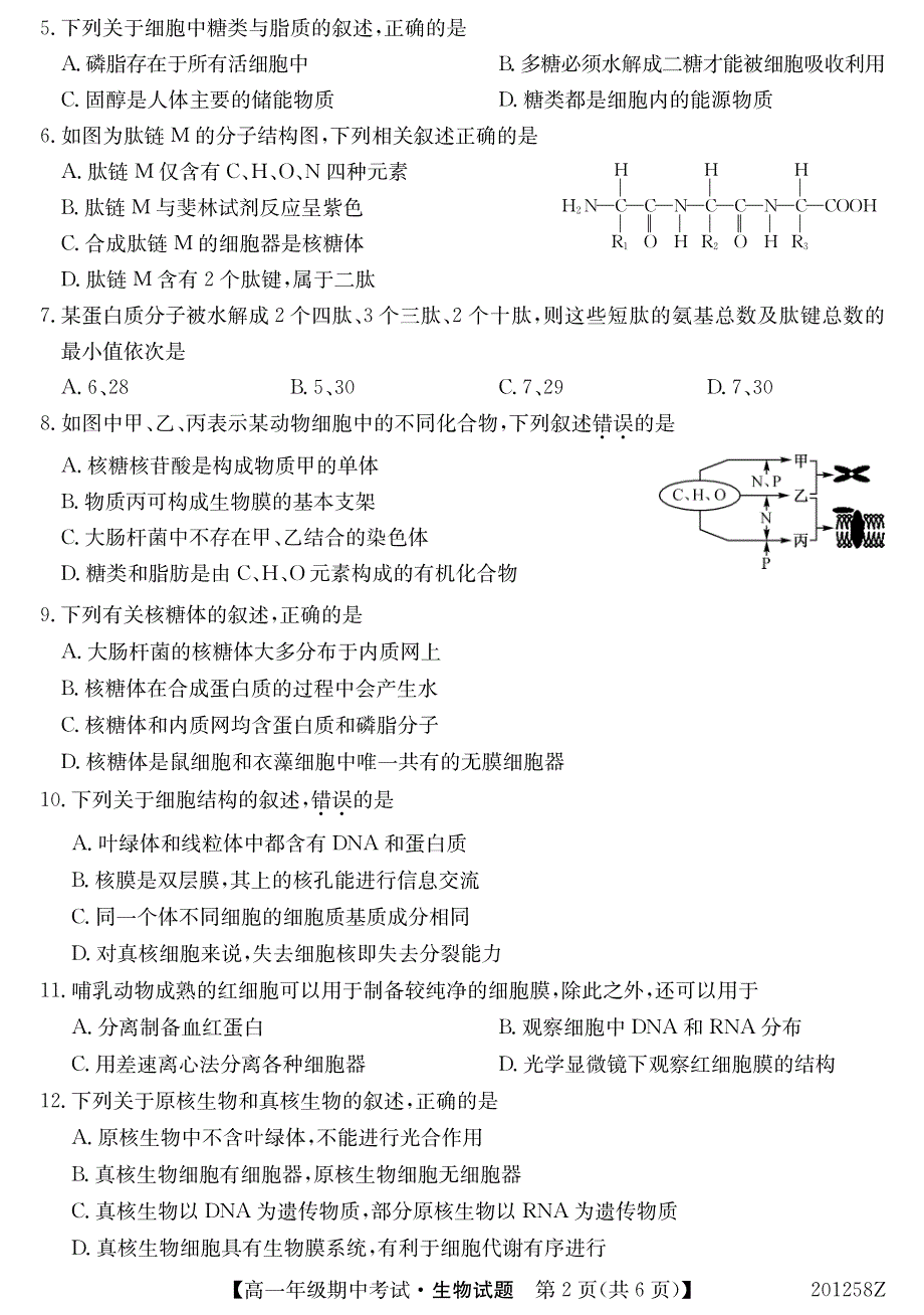 广西南宁上林县中学2019-2020学年高一上学期期中考试生物试卷 PDF版含答案.pdf_第2页