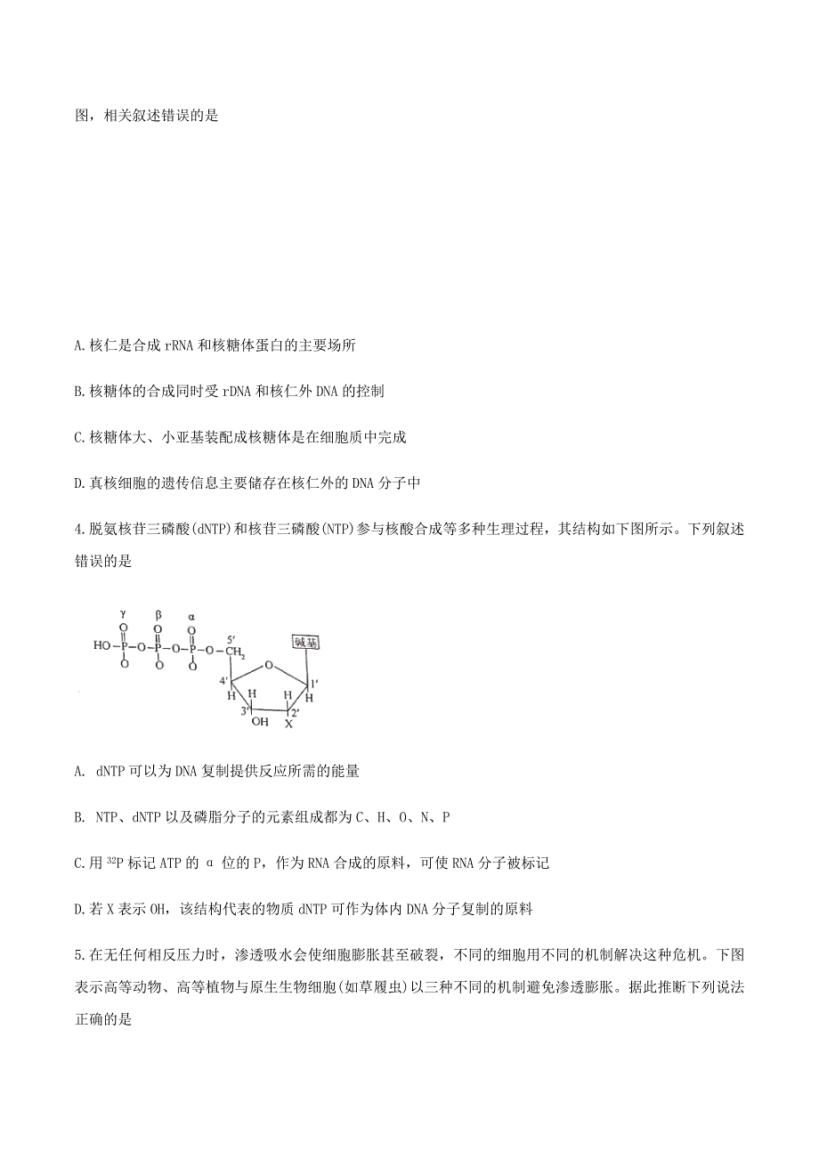 山东省日照市2019-2020学年高二生物下学期期末考试试题.doc_第2页