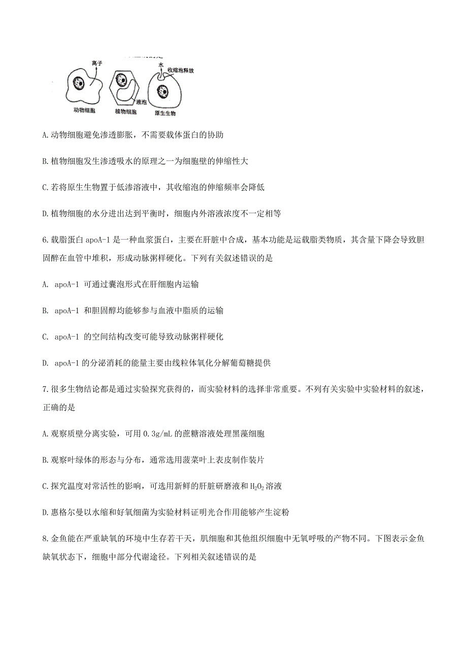 山东省日照市2019-2020学年高二生物下学期期末考试试题.doc_第3页