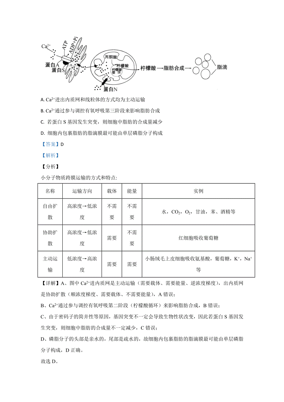 山东省日照市2020届高三6月校际联合考试生物试题 WORD版含解析.doc_第2页