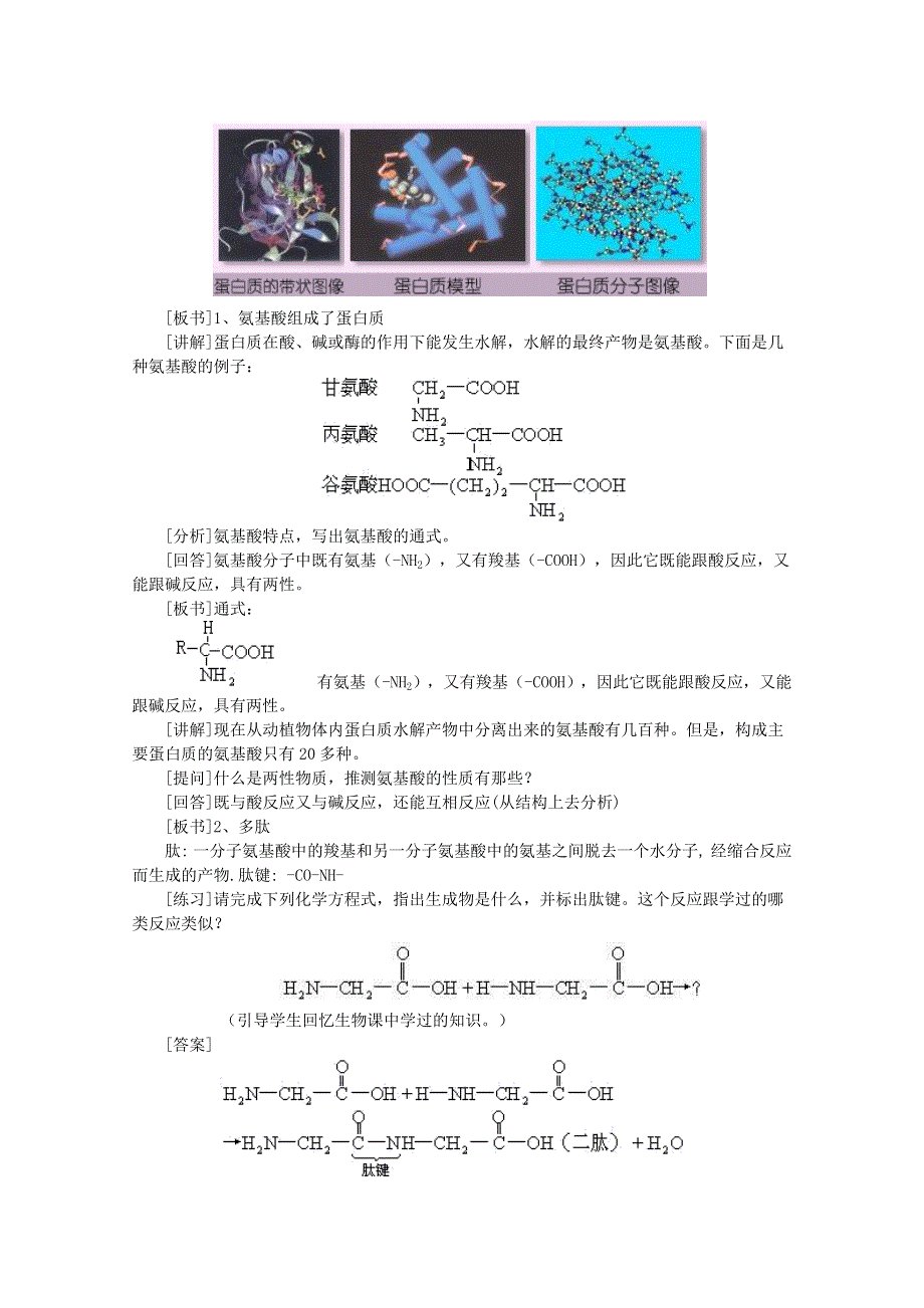 《河东教育》山西省运城中学高中化学教案新人教版选修1 1.3《生命的基础—蛋白质》（1）.doc_第2页