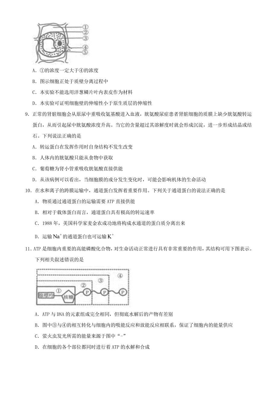 山东省新高考质量测评联盟2020-2021学年高一生物上学期12月联考试题.doc_第3页