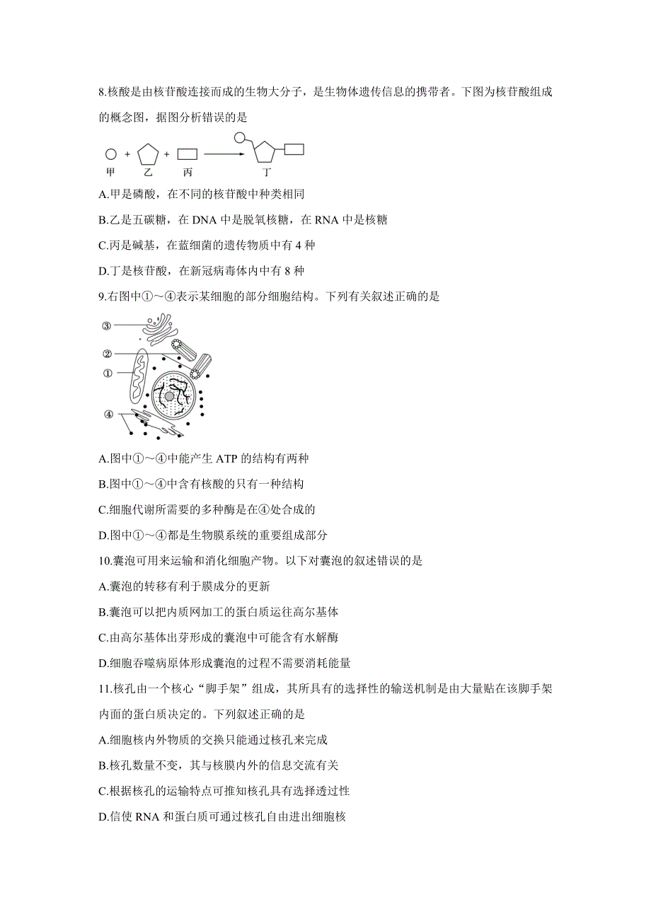 山东省日照市五莲县2021-2022学年高一上学期期中考试 生物 WORD版含答案BYCHUN.doc_第3页