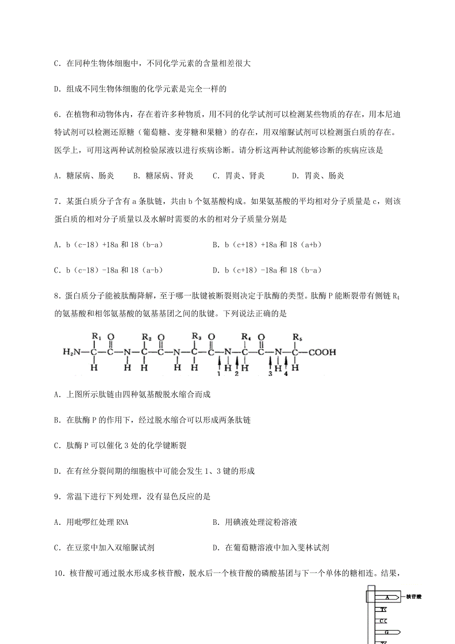 四川省泸县第二中学2020-2021学年高一生物上学期第二次月考试题.doc_第2页