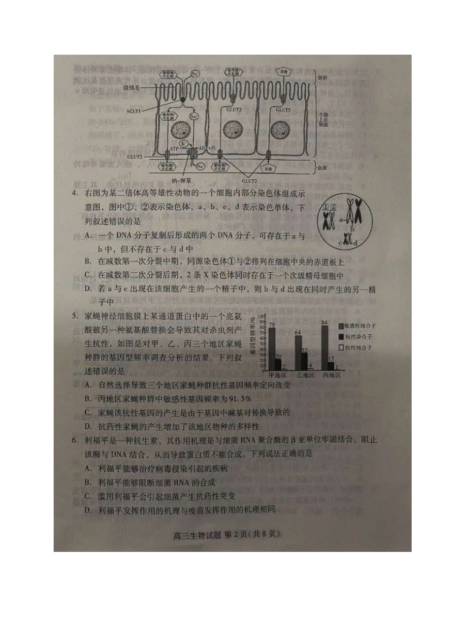 山东省新高考质量测评联盟2020届高三5月联考生物试题 扫描版缺答案.doc_第2页