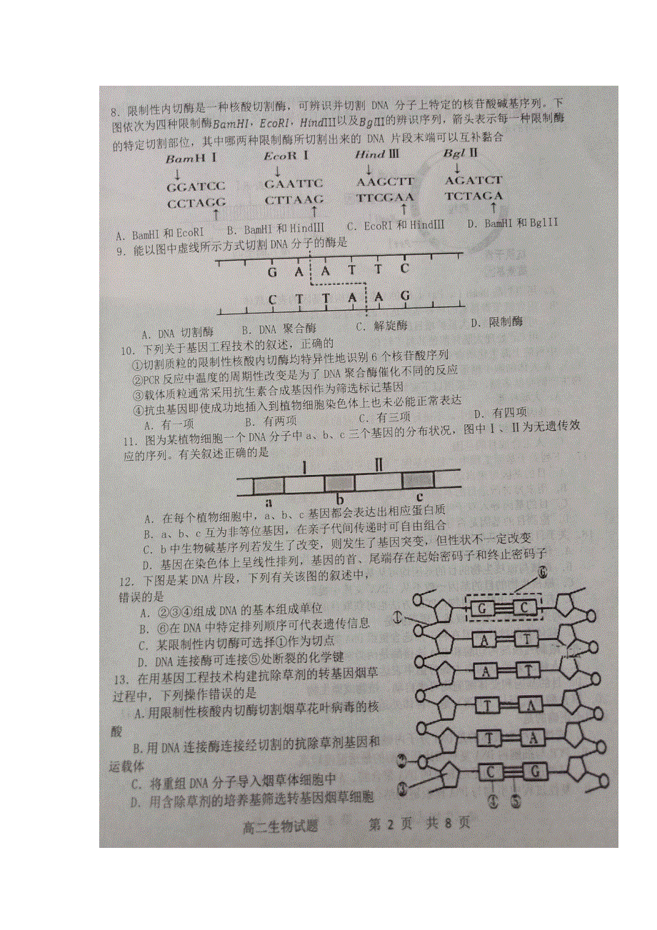 河南省西华县第一高级中学2018-2019学年高二下学期第一次月考生物试题 扫描版含答案.doc_第2页