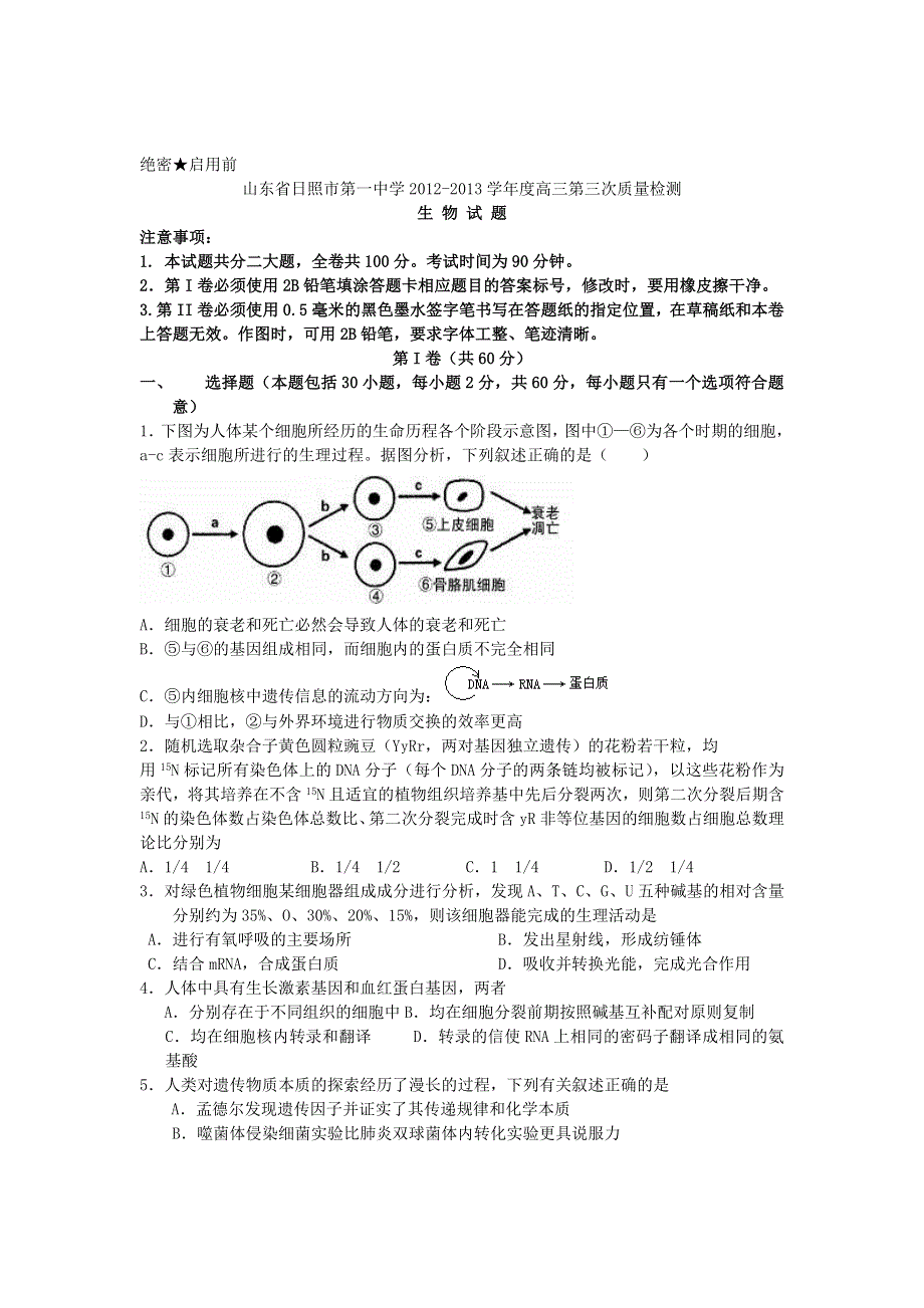 山东省日照一中2013届高三第三次质量检测生物试题.doc_第1页