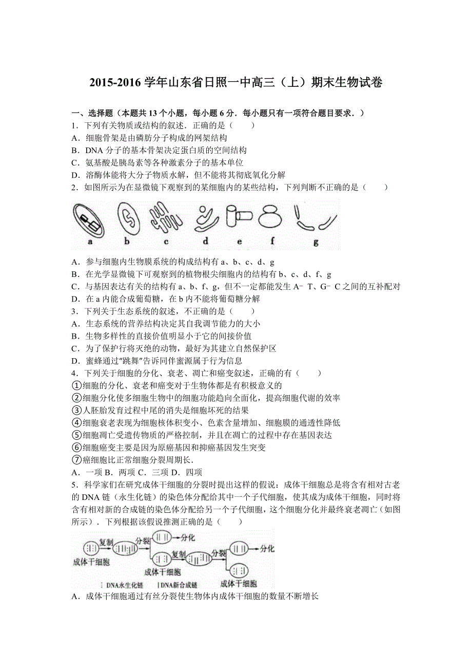 山东省日照一中2016届高三上学期期末生物试卷 WORD版含解析.doc_第1页