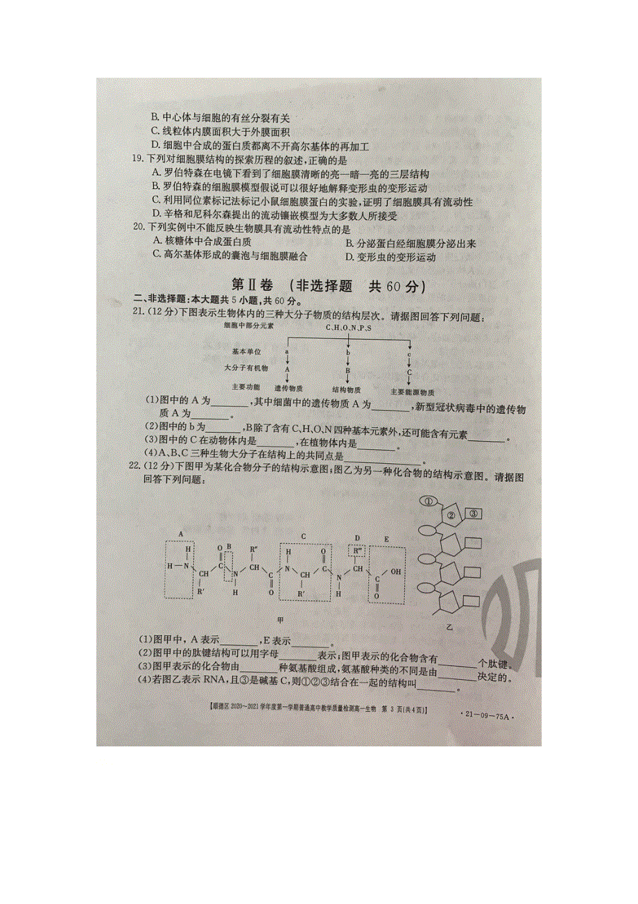 广东省佛山市顺德区2020-2021学年高一生物上学期期中教学质量检测试题（扫描版）.doc_第3页